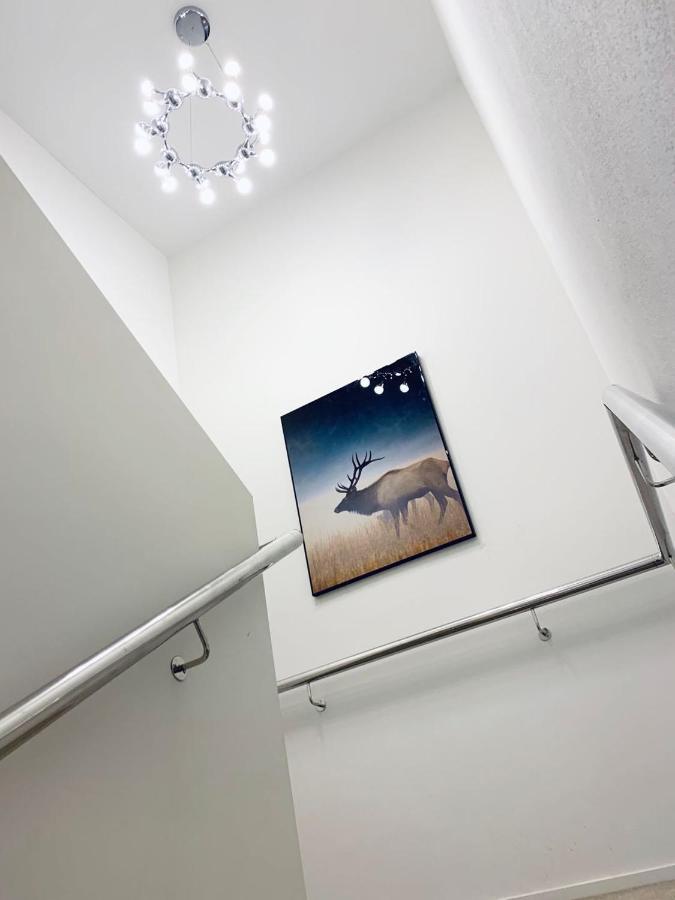 Colombo Lodge Hotel Крайстчърч Екстериор снимка